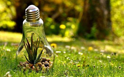 Workshop di bioenergetica