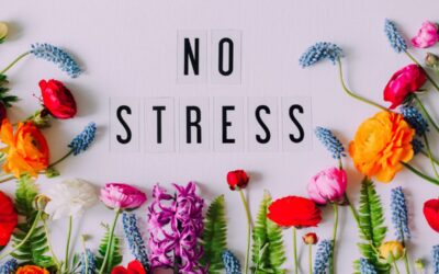 Il nostro peggior nemico: lo stress