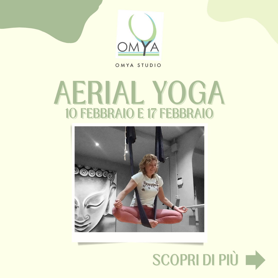 Aerial Yoga 1